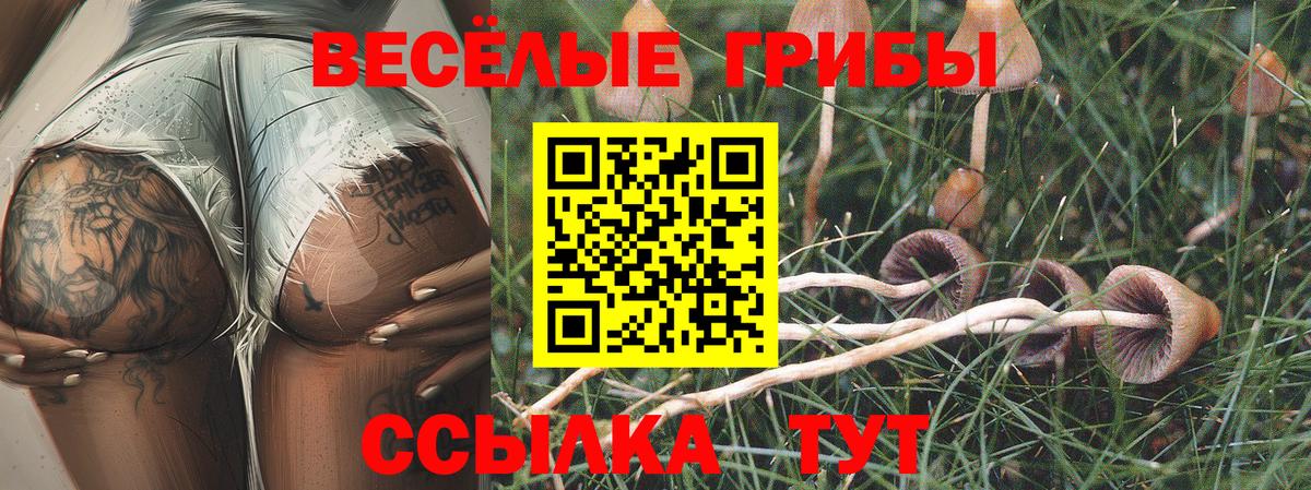 Псилоцибиновые грибы мицелий Чебоксары