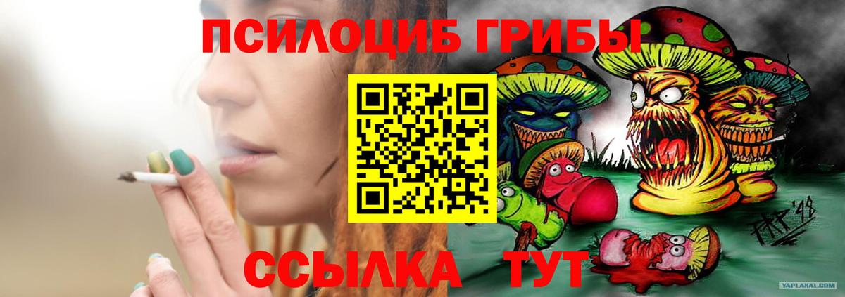 Чебоксары  Псилоцибиновые грибы Psilocybine cubensis  Псилоцибиновые грибы MAGIC MUSHROOMS  Вход с VPN 